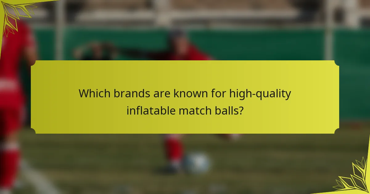 Which brands are known for high-quality inflatable match balls?