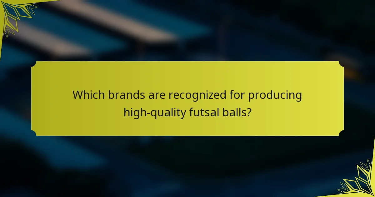 Which brands are recognized for producing high-quality futsal balls?