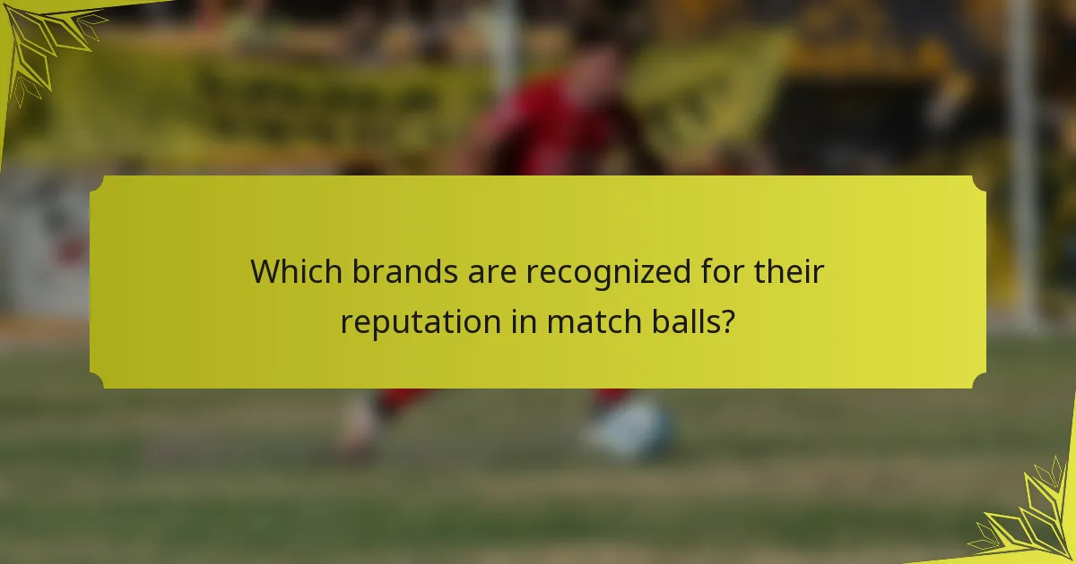 Which brands are recognized for their reputation in match balls?