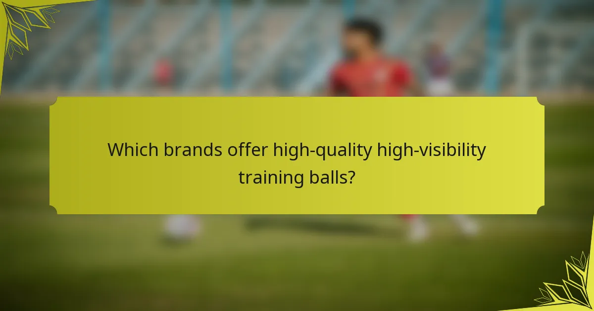 Which brands offer high-quality high-visibility training balls?